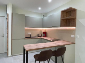 Studio Kotor Frany